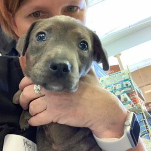 Meet your Posher, Deb